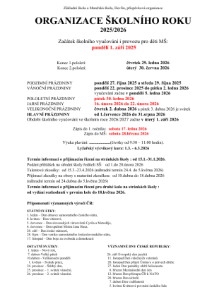 Organizace